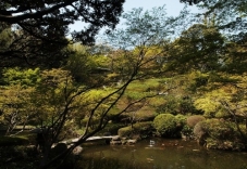 Ikedayama Park